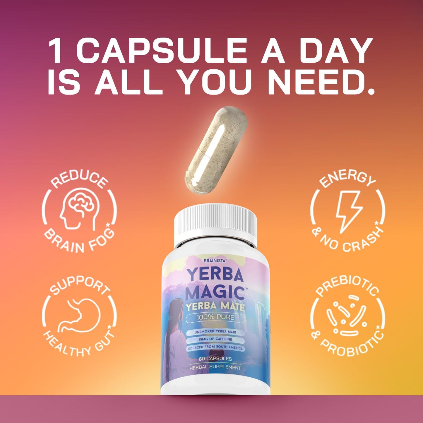 Yerba Mate Capsules